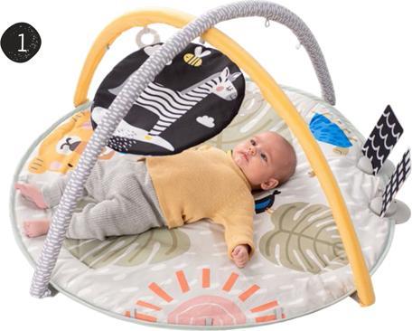 Actual product image Taf Toys Savannah