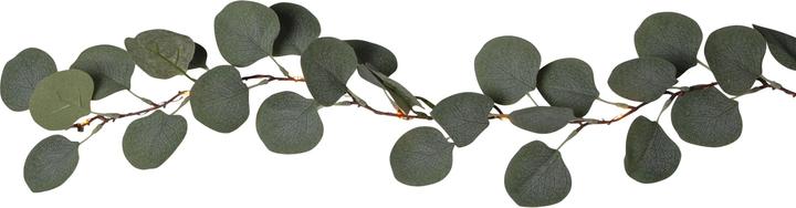 Actual product image Star Trading Eucalyptus (1.80 m)