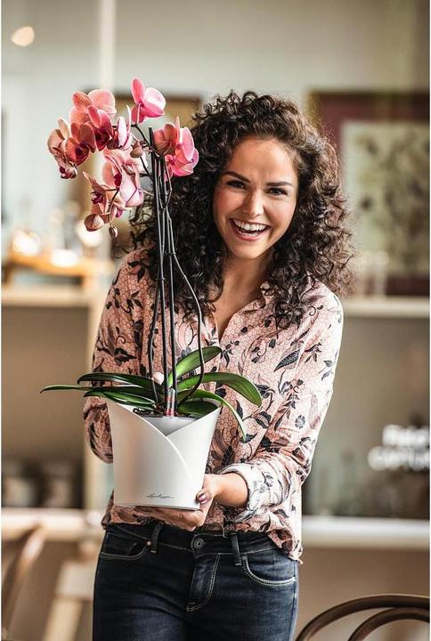 Immagine prodotto Lechuza Orchidea (17.90 cm)