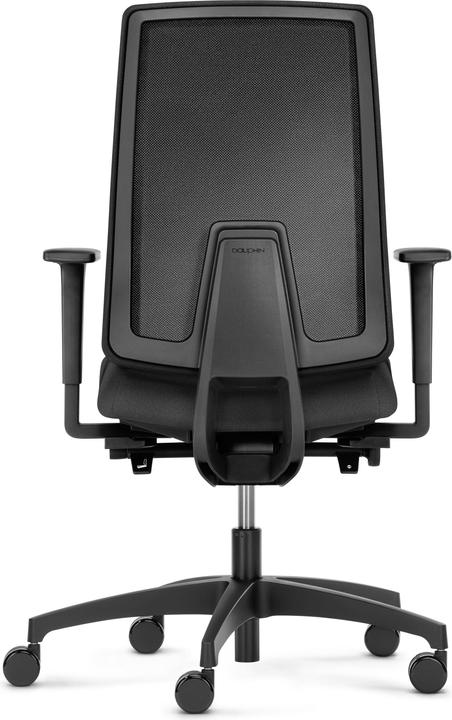 Actual product image Dauphin 7056 SLP