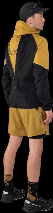 Produktbild Dynafit ALPINE PRO 2/1 SHORTS, Herren (L)