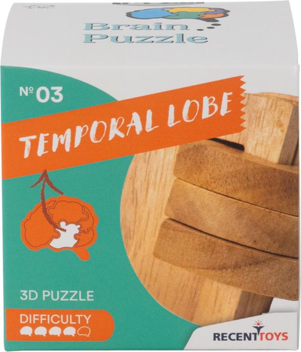 Immagine prodotto Recent Toys Puzzle del cervello n. 3 Lobo temporale