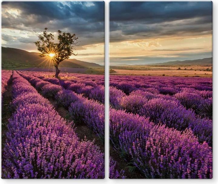 Produktbild Trenddeko Lavendelblüte in der Provence