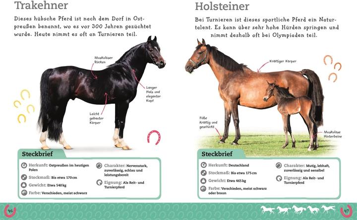 Immagine prodotto Pferde und Ponys (Tedesco, DK Verlag - Bambini, 2019)