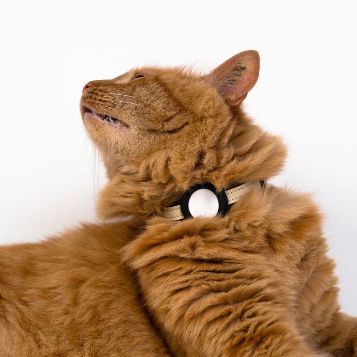 Immagine prodotto LucyBalu DORI AirTag Katzenhalsband (Nylon) (Taglia unica, Gatto, Generale)