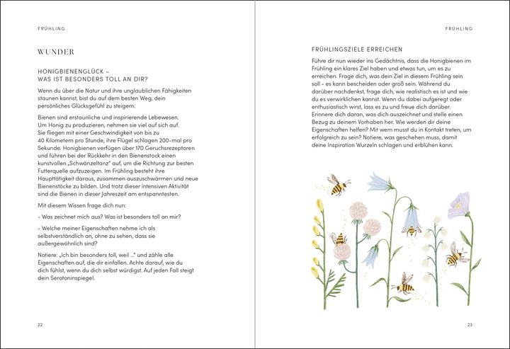 Produktbild The Happiness Year (Deutsch, Tara Ward, 2024)