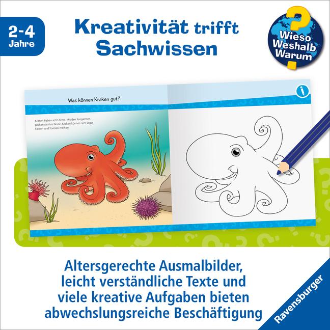Immagine prodotto Ravensburger Wieso? Weshalb? Warum? junior AKTIV: Am Meer (Tedesco, Yousun Koh, 2023)