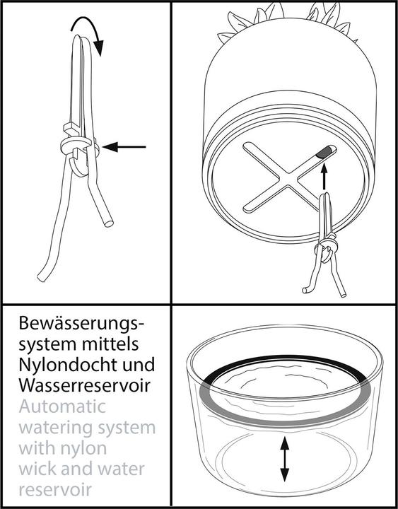 Immagine prodotto GEFU Botanico (14.20 cm)