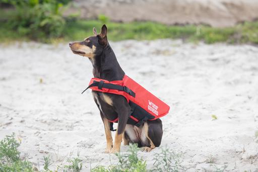 Produktbild Beeztees Sicherheits-Schwimmweste (Hundeschwimmweste)
