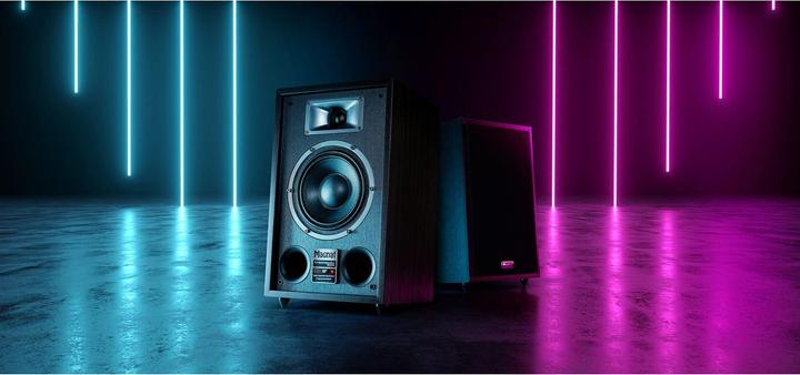 Image du produit Magnat Transpuls 800A (1 paire, 120 W)