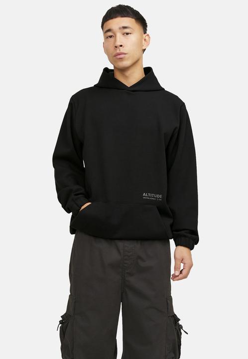 Actual product image Jack & Jones Jcoaltitude Sweat Hood Sn (M)