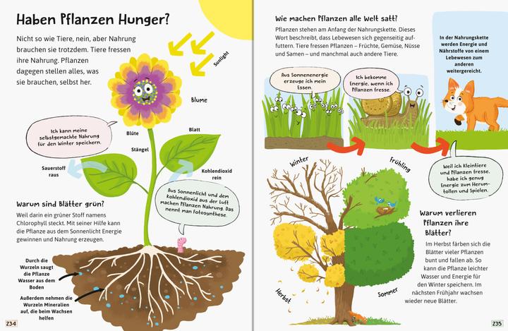 Actual product image Ravensburger Alles was ich wissen will (German, Anne Sheller, 2022)