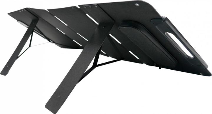 Actual product image Segway-Ninebot SP100 (100 W, 5.20 kg)