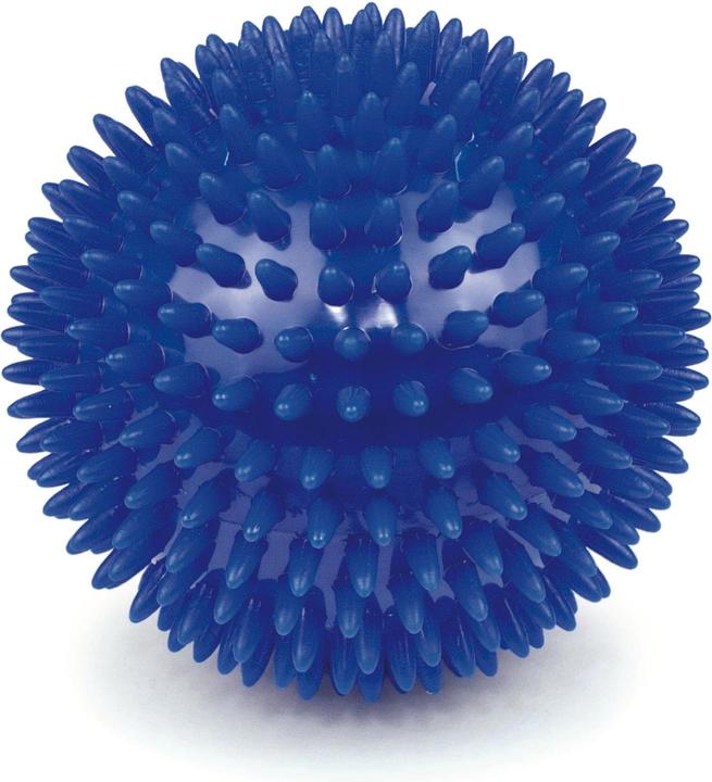 Vitility Massageball (10cm)