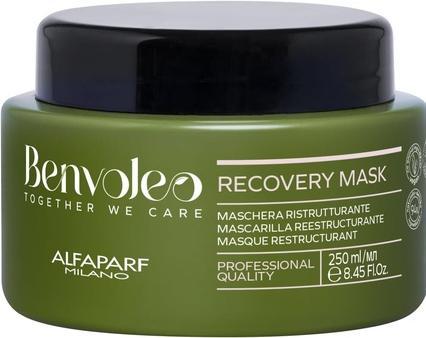 Image du produit Alfaparf Alfa Benvoleo Masque de récupération 250ml (250 ml)