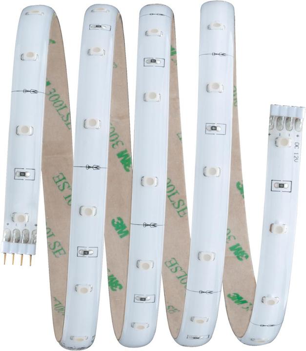 Immagine prodotto Paulmann Il tuo inizio di vita (Bianco freddo, 150 cm, Interno)
