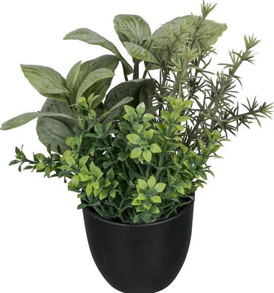 Immagine prodotto Gasper Kunstpflanze Kräuter 18cm