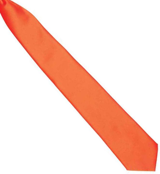 Actual product image Premier Clip-on satin tie