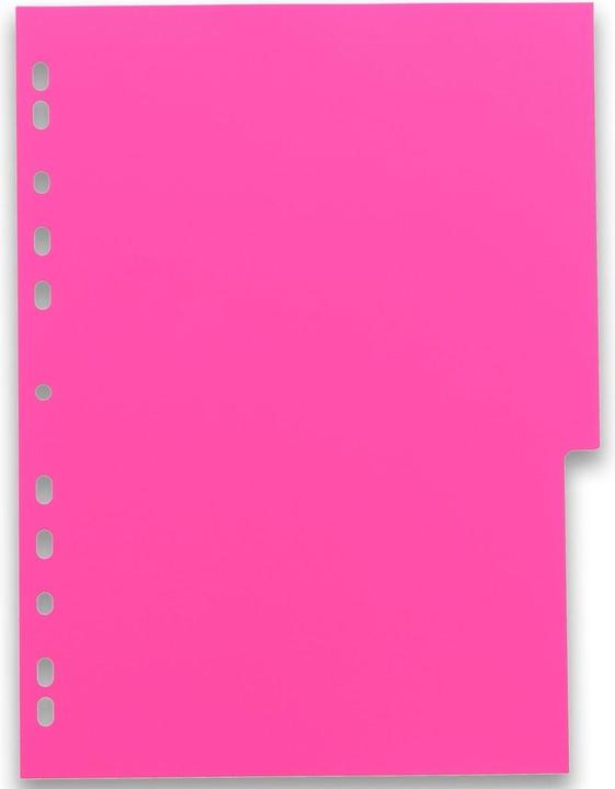 Produktbild Elba Kunststoff-Register myColour