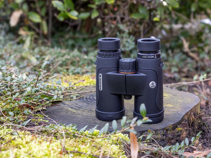 Actual product image Celestron Nature DX 8x42 (8 x, 42 mm)