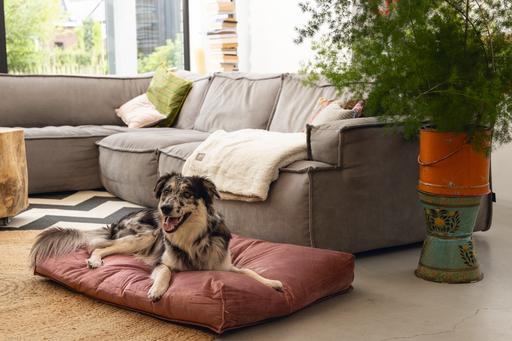 Actual product image Designed by Lotte Nalino (Dog)