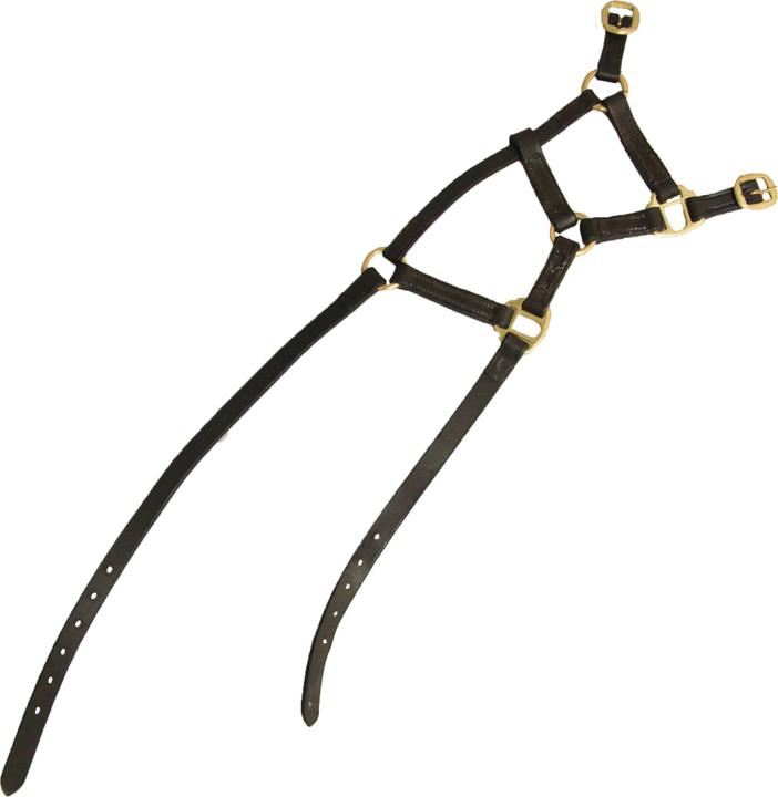 Actual product image Hy Leather Foal Halter
