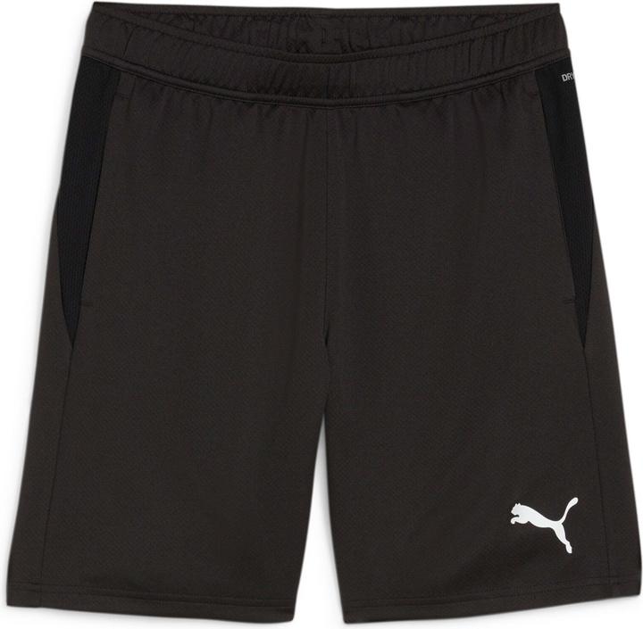 Puma teamGOAL Training Short
