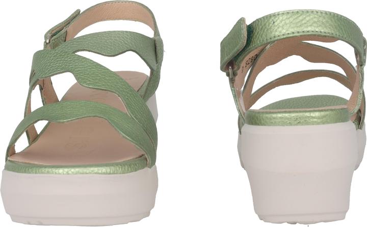 Actual product image Wonders Max (38)