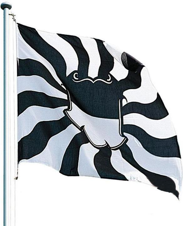 Keller Fahnen Kantonsfahne geflammt Freiburg Superflag® 100x100 cm