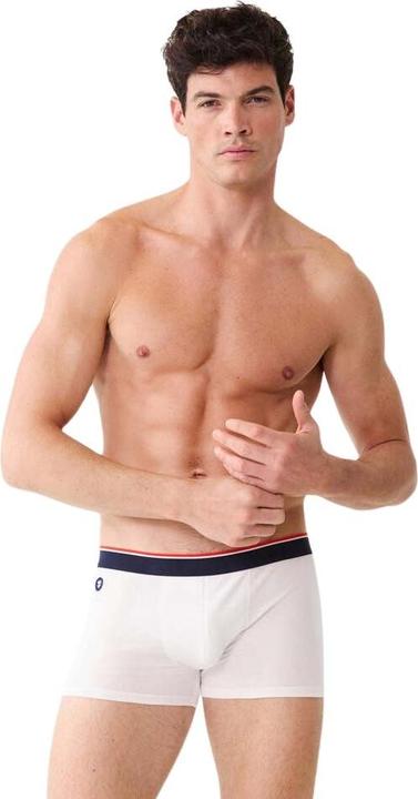 Actual product image Le Slip Français cotton boxer shorts arius plus (M)
