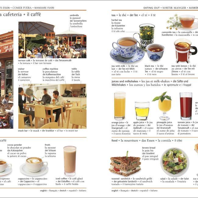 Actual product image 5 Language Visual Dictionary (English, DK, 2020)