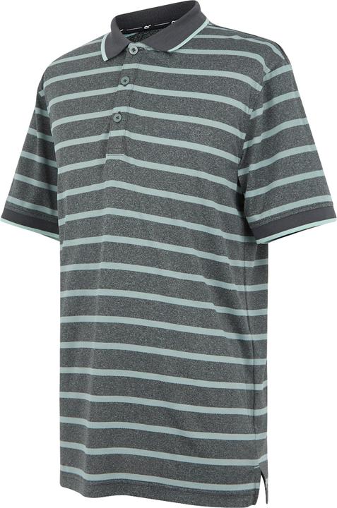 Produktbild Regatta Kildra Poloshirt (M)