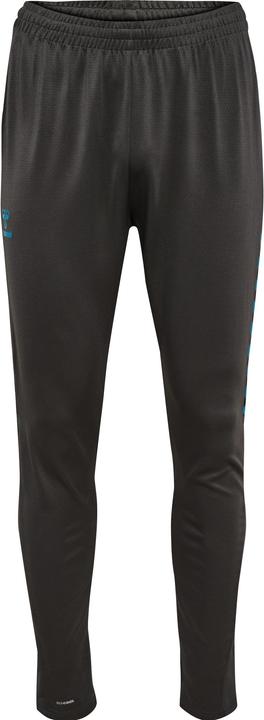 Actual product image hummel Hmlstaltic Training Pants (L)
