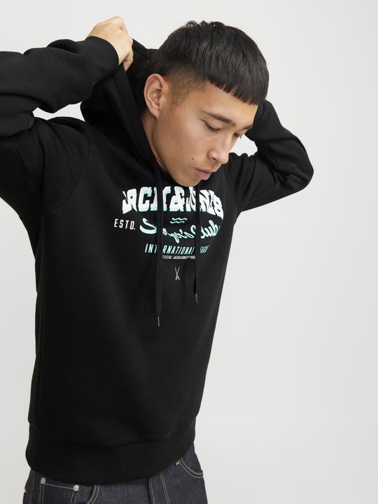 Actual product image Jack & Jones JJELOGO SWEAT HOOD 2 COL 24/25 NOOS (M)