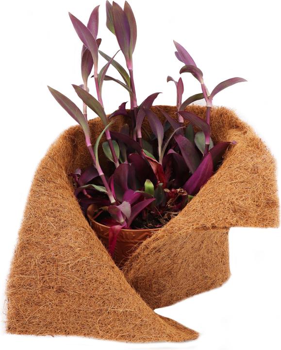 Produktbild Aquagart 50m Kokosmatte Winterschutz Böschungsmatte Kokosfasermatte 800g/m² 0,25m breit