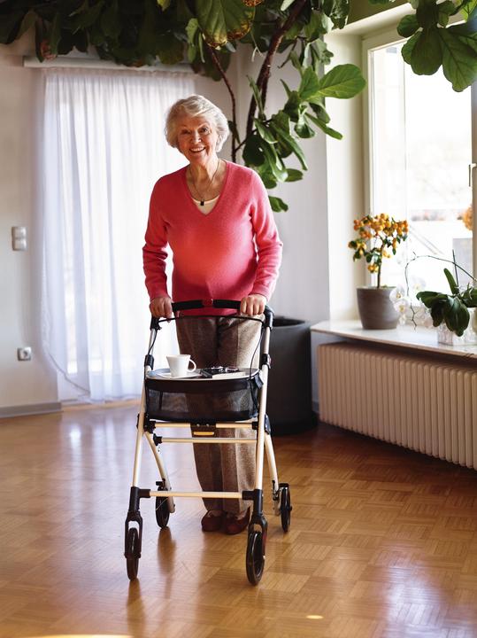 Immagine prodotto Ridder Indoor