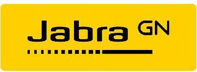 Actual product image Jabra Evolve 20 (Cable, USB-A)