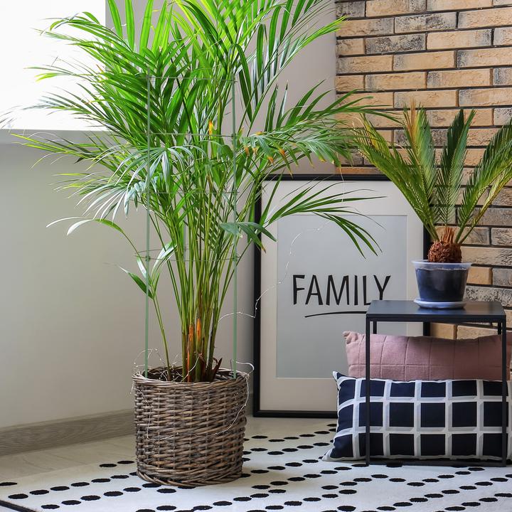 Produktbild Relaxdays 4x Rankhilfe (28 cm, 28 cm)