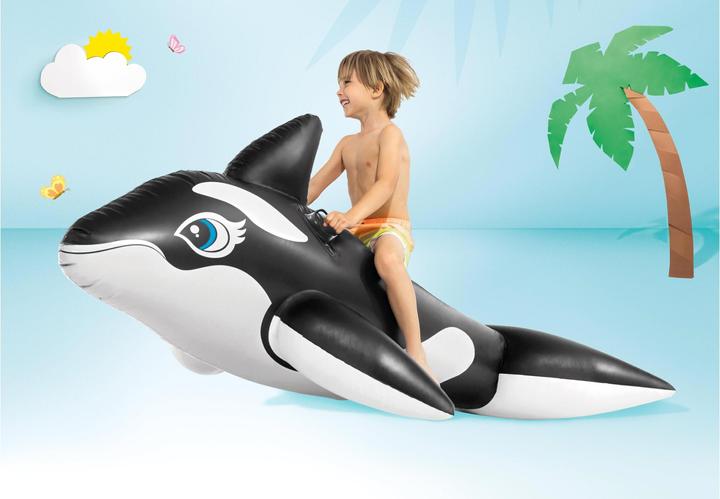Actual product image Intex Whale