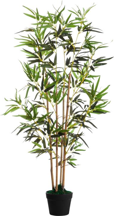 Actual product image Paperflow Laurel (165 cm)