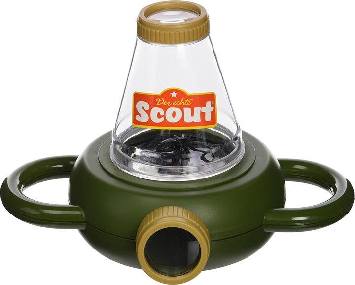 Scout Observation d'insectes