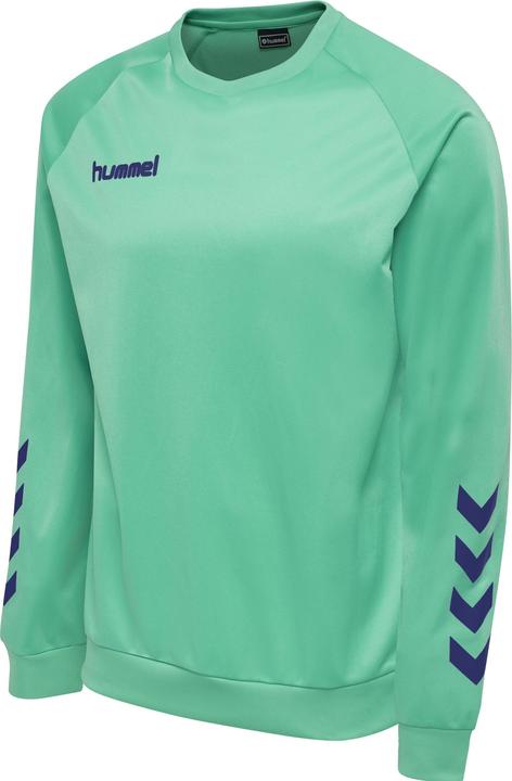 Image du produit hummel Promo Kids Poly Sweatshirt (164)