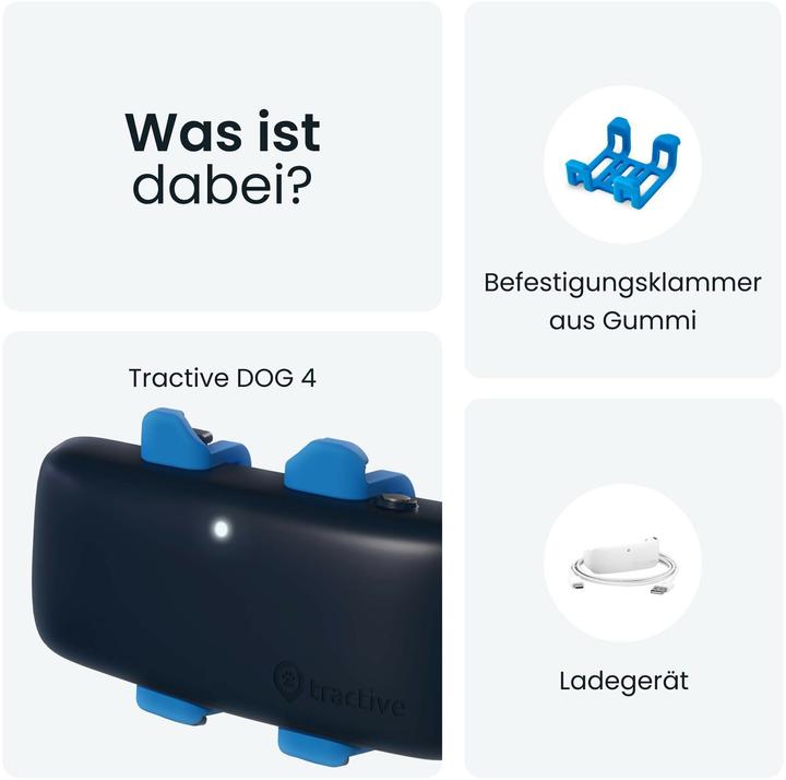 Actual product image Tractive Dog 4 GPS Tracker for Dogs (Cat, Dog, Walks)