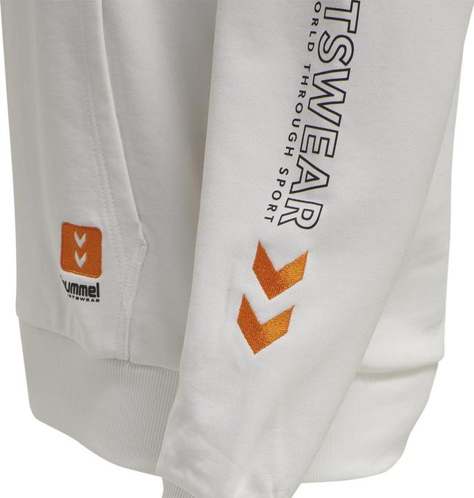 Actual product image hummel Lgc Birk Hoodie (S)