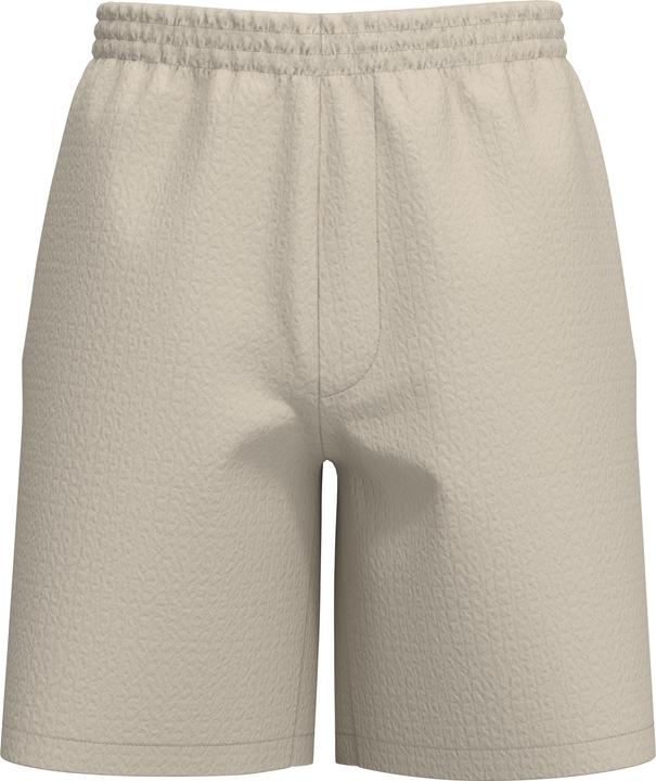 Actual product image Selected Homme Seersucker Shorts (L)
