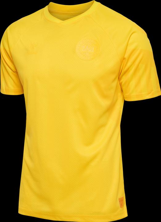 Produktbild hummel Dänemark Torwart WM Trikot (S)