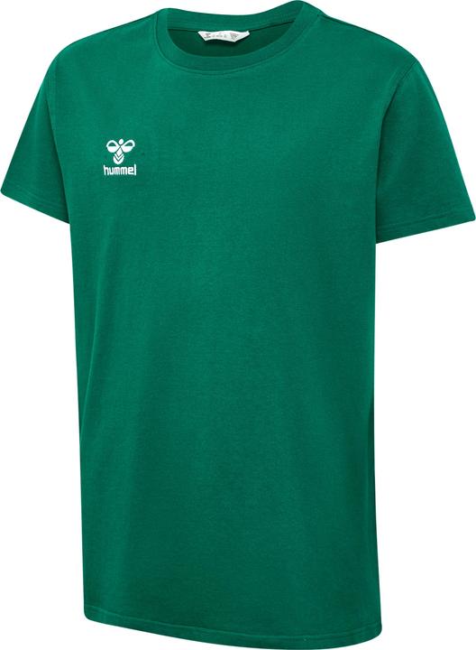 Sempreverde