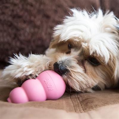 Immagine prodotto KONG Cucciolo (Giochi per cuccioli)