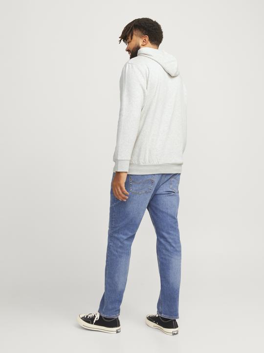 Actual product image Jack & Jones JJELOGO SWEAT HOOD 2 COL 24/25 NOOS PLS (5XL)