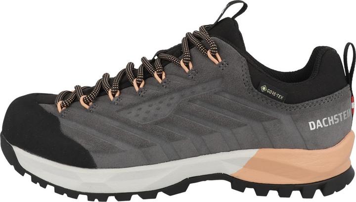 Image du produit Dachstein Femmes SF-21 GTX (42.5)